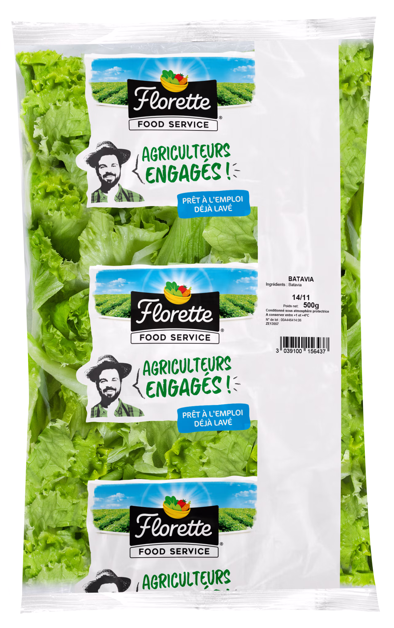 Batavia feuille